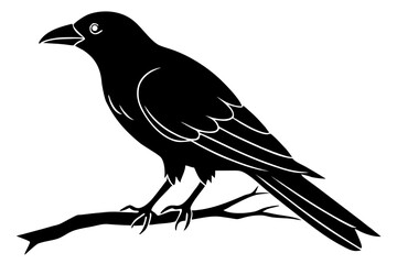 Crow on branch silhouette illustration isolated on white background