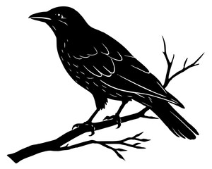 Crow on branch silhouette illustration isolated on white background
