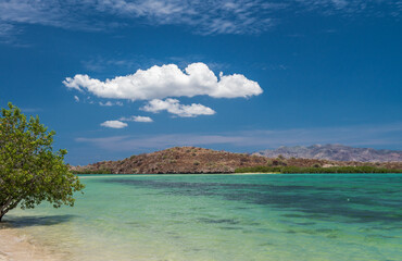 Fototapeta premium Seascape with mountains and clouds in the background with vegetation on the beach and crystal clear water of the Sea of ​​Cortez in Bahia Concepcion Baja California Sur Mexico. EL REQUESON Beach
