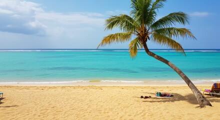 Obraz premium Idyllic tropical beach with a leaning palm tree perfect for relaxation and vacation vibes