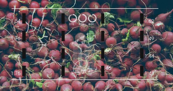 Scanning window scanning radishes updating bars and gauges reacting to glass entry then reverting