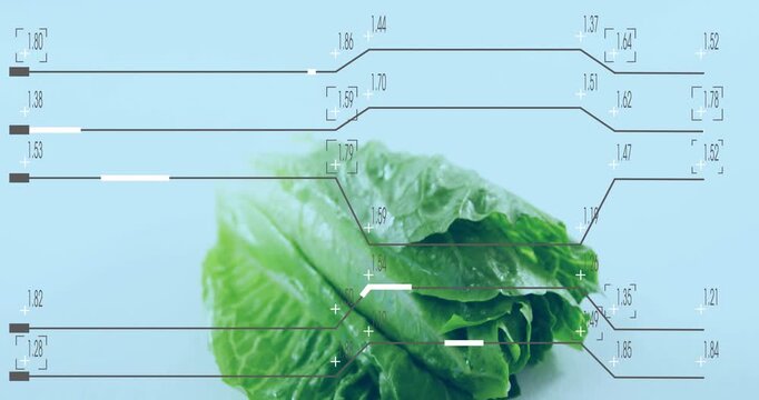 Interface activating, lettuce emerging, lines shifting and metrics updating for freshness analysis