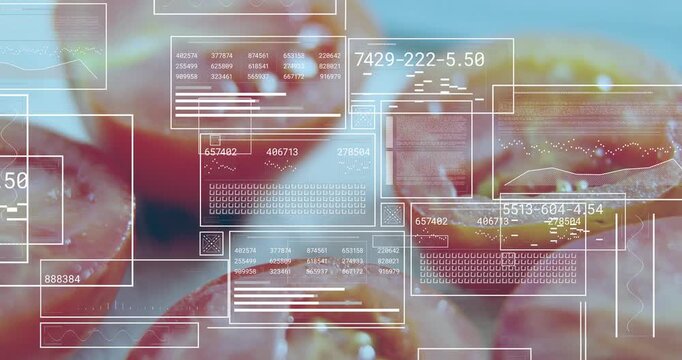Placing tomato halves on white surface UI overlaying panels and scanning flesh for quality metrics