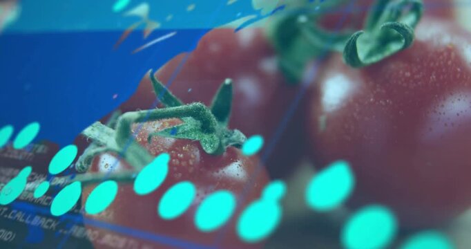 Third frame cyan ovals sweeping tomatoes brushstroke showing 94