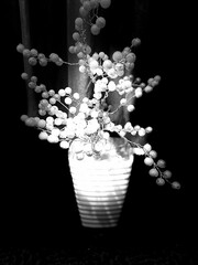 Black and White Image of a Delicate Floral Arrangement in a Textured Vase.