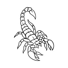 aggressive scorpion outline drawing