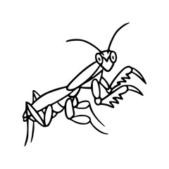 minimalist praying mantis drawing