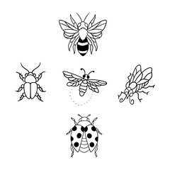 hand-drawn insects collection