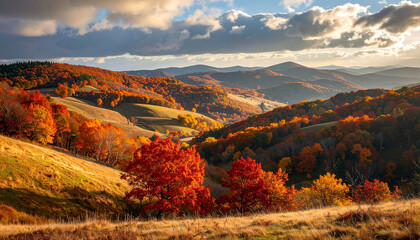 Autumn Valley Hills Foliage Scenic Nature Photorealistic Landscape