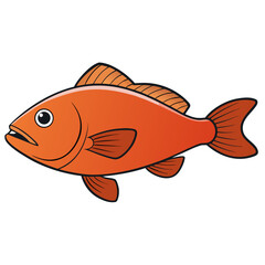 fish on a white background