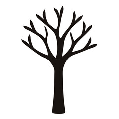 Obraz premium Silhouette of a bare tree in winter, isolated on white background picture