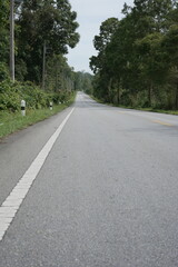 The road winds through a valley, surrounded by towering mountains. Trees line both sides, their green leaves gently swaying, creating a peaceful nature trail amidst stunning scenery.