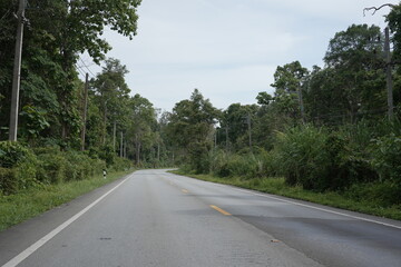 Naklejka premium The road winds through a valley, surrounded by towering mountains. Trees line both sides, their green leaves gently swaying, creating a peaceful nature trail amidst stunning scenery.