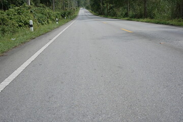The road winds through a valley, surrounded by towering mountains. Trees line both sides, their green leaves gently swaying, creating a peaceful nature trail amidst stunning scenery.