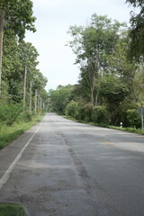 The road winds through a valley, surrounded by towering mountains. Trees line both sides, their green leaves gently swaying, creating a peaceful nature trail amidst stunning scenery.