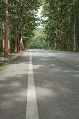 The road winds through a valley, surrounded by towering mountains. Trees line both sides, their green leaves gently swaying, creating a peaceful nature trail amidst stunning scenery.