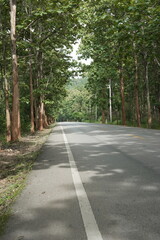 Fototapeta premium The road winds through a valley, surrounded by towering mountains. Trees line both sides, their green leaves gently swaying, creating a peaceful nature trail amidst stunning scenery.