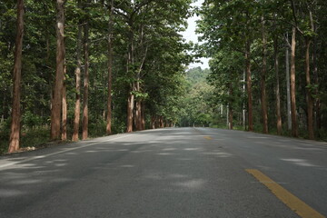 Obraz premium The road winds through a valley, surrounded by towering mountains. Trees line both sides, their green leaves gently swaying, creating a peaceful nature trail amidst stunning scenery.