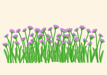 Purple Flowers in a Green Meadow spring crocus flowers