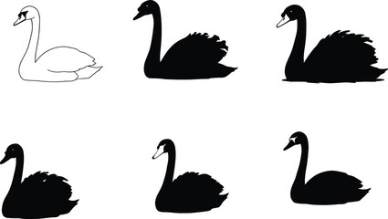 Elegant black swan vector silhouettes swimming on water with reflections, beautiful wildlife bird illustration design for nature, lake, pond decoration