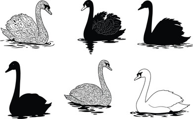 Elegant swan vector illustration set with black silhouettes and floral decorative patterns, beautiful birds swimming in water for design and coloring