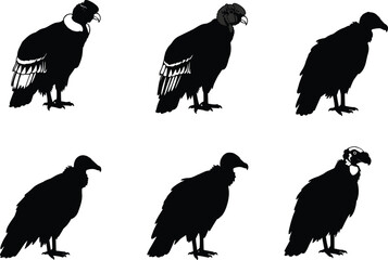 Set of black vulture bird silhouettes with detailed wing and beak variations, perfect for wildlife illustration, design, and nature projects.
