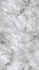 Obraz premium A seamless marble texture with light glossy white and gray veining,