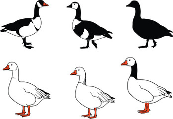 Set of goose illustrations in silhouette, outline, and black-and-white vector styles with orange beaks and feet for design