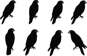 Set of perched eagle bird silhouettes with golden eyes and strong beaks, symbolizing power, strength, vigilance, wildlife, and freedom.