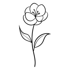 vector illustration of a flower