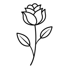 vector illustration of rose
