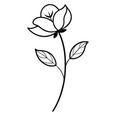 vector illustration of a flower