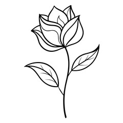 black and white flower