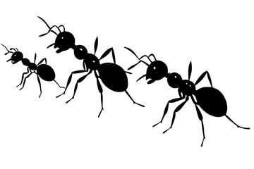Ant colony walking silhouette vector isolated on white background