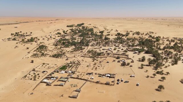 Aerial drone view of a desert oasis in Mauritania with palm trees, traditional houses and farmland, green life emerging in the golden Sahara sand dunes