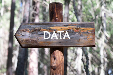DATA word written on a wooden signpost against a forest background. Financial business analytics concept