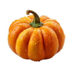 Small, orange pumpkin with water droplets