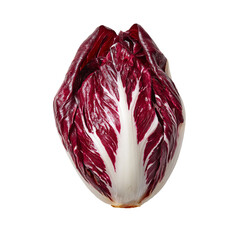 Fototapeta premium Red leaf vegetable, vibrant colors