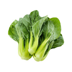 Fresh bok choy, vibrant green leaves (4)