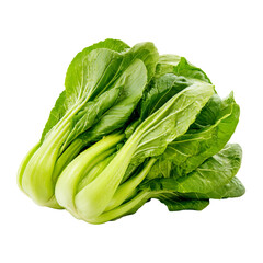 Close-up of two bok choy heads