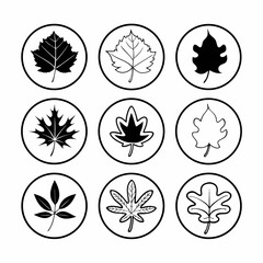 Collection of nine circular icons featuring diverse stylized leaf silhouettes and outlines representing different tree species and seasons in a clean black and white graphic design