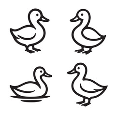 A cartoon vector illustration of a set of mallard ducks and ducklings, a farm animal family, isolated on a white background