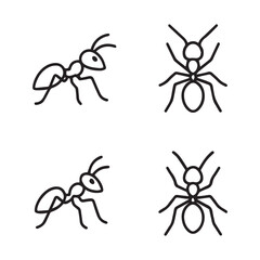 A black pest insect ant with a red head and jaw on a white background, isolated with a leg and antenna