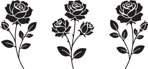 Elegant Rose Silhouette: A trio of exquisitely drawn rose illustrations grace the scene, their intricate silhouettes casting a timeless allure, ideal for elegant design applications.