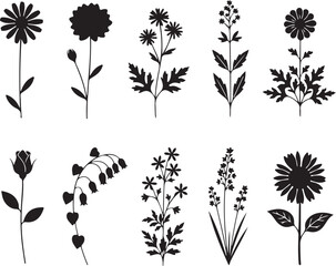 Botanical Blackout: A set of intricate black silhouettes of various flowering plants, each displaying unique petal formations and stem structures, perfect for botanical illustration and design.