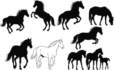 Horse silhouette set, black and white, running, rearing, walking, foal included, rider, vector, isolated equine posture illustration bundle