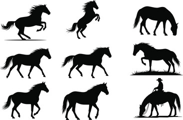 Horse silhouette set, black, rearing, trotting, grazing, standing, rider included, vector, isolated equine posture and movement illustration bundle