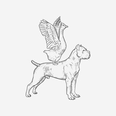Hand-Drawn Dog and Goose Illustration – Unlikely Companions