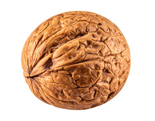 Fototapeta premium Dried Betel Nut Isolated PNG