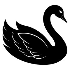 Fototapeta premium Graceful Vector of a Black Swan A Symbol of Uniqueness